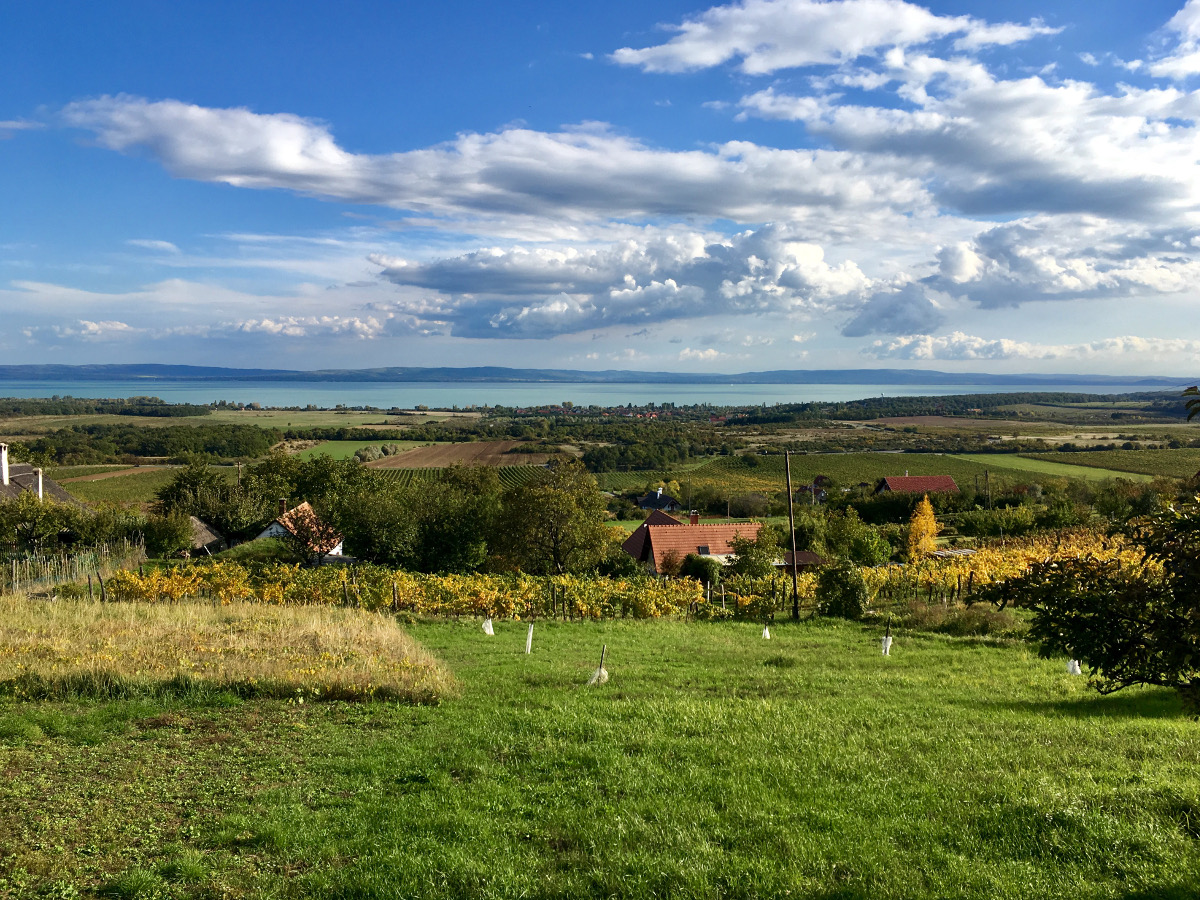 Dobosi Pincészet és Vendégház