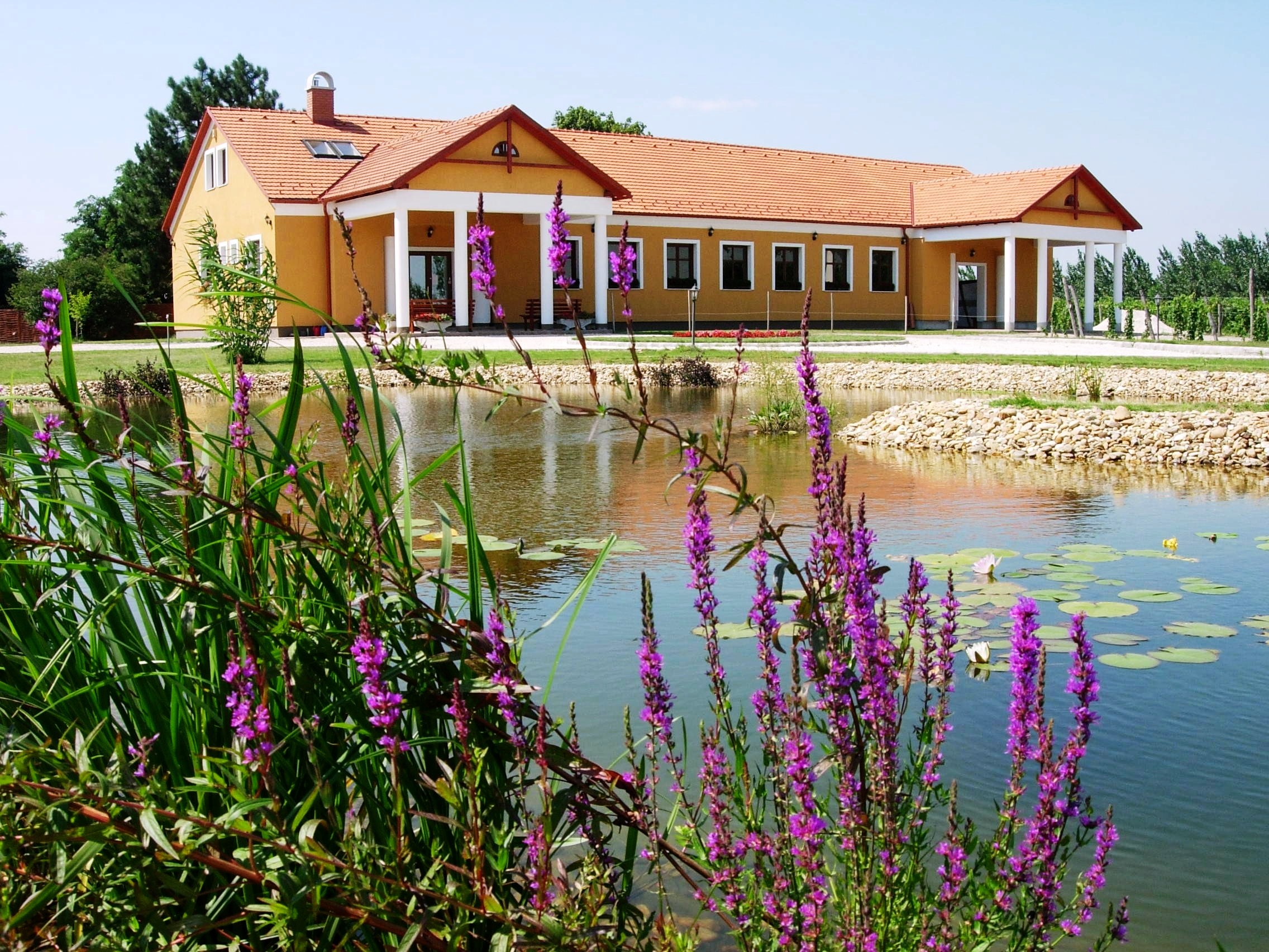 Gál Vineyard and Winery