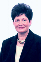 K&eacute;pviselő f&eacute;nyk&eacute;pe