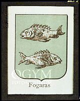 Műszaki fotódokumentáció az Országház homlokzatán lévő Fogaras városcímerének rekonstruálásához, 1981