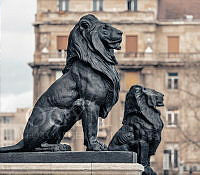 Oroszlánszobrok az Országház főbejárata előtt, 2024