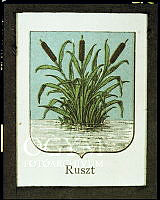 Műszaki fotódokumentáció az Országház homlokzatán lévő Ruszt városcímerének rekonstruálásához, 1981